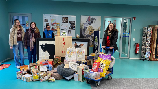 Christmas Campaign for the Ulm Animal shelter